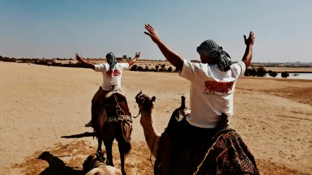 الفيوم: سحر الطبيعة والتاريخ في قلب مصر