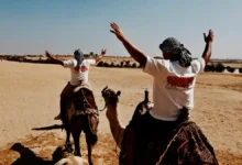الفيوم: سحر الطبيعة والتاريخ في قلب مصر
